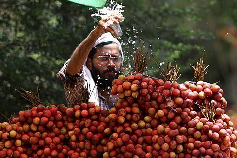 धरती ने कम से कम 84 वर्षों में अपना सबसे गर्म दिन अनुभव किया, जब 21 जुलाई को वैश्विक औसत तापमान 17.09 डिग्री सेल्सियस के रिकॉर्ड उच्च स्तर पर पहुंच गया।