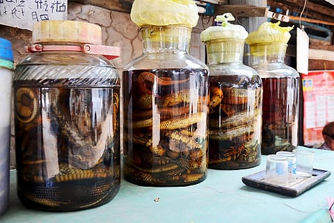 इंसान खुद ही लिख रहा अपने विनाश की पटकथा: सेवन के लिए जहरीले जीवों से लाओस में बनाई जा रही शराब; फोटो: आईस्टॉक