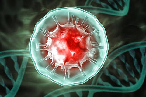 किंडलिन्स एक तरह का एडाप्टर प्रोटीन है जो कि कशेरूकियों में लगभग सभी तरह की कोशिकाओं की कोशिका झिल्लियों से जुड़े हिस्सों के भीतर मौजूद होता है।