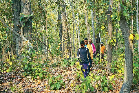 छत्तीसगढ़ के सीतानदी टाइगर रिजर्व में हाथी मित्र रोजाना 5 से 15 किलोमीटर की यात्रा करके हाथियों की हलचल का पता लगाते हैं। इसके साथ ही यदि हाथियों का दल यदि गांवों के नजदीक हो तो आबादी को आगाह भी करते हैं। दाएं चित्र में एक हाथी मित्र टाइगर रिजर्व में हाथियोें की हलचल की निशानी का पता लगाता हुआ