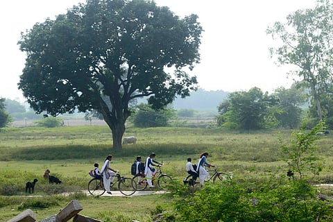साइकिल चलाने के स्तर में सबसे बड़ी वृद्धि ग्रामीण क्षेत्रों में लड़कियों में हुई है जो 2007 में 4.5 फीसदी से बढ़कर 2017 में 11 फीसदी हो गई है।