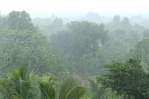 आज, असम और मेघालय, नागालैंड, मणिपुर, मिजोरम और त्रिपुरा के अलग-अलग हिस्सों में 12 सेमी या 120 मिमी से अधिक बारिश हो सकती है।