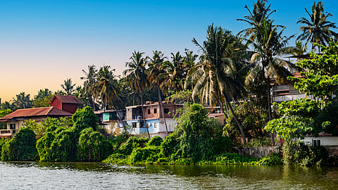 कलसा नाला डायवर्जन परियोजना की योजना काली और सह्याद्री टाइगर रिजर्व के 10.68 हेक्टेयर वन क्षेत्र पर बनाई गई है। फोटो: आईस्टॉक