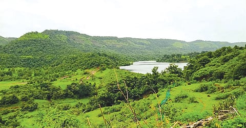 महाराष्ट्र के शिरोल गांव में तालाब को पुनर्जीवित करने से न सिर्फ बाढ़ को नियंत्रित करना आसान हो सका, बल्कि अब वहां सिंचाई के लिए पूरे साल पानी भी मिल रहा है