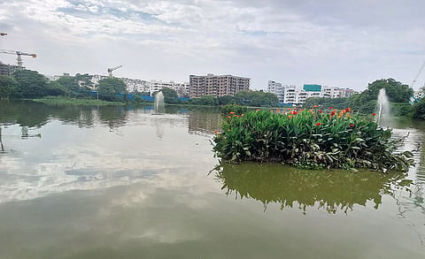 हैदराबाद के बाहरी इलाके में नेकनामपुर झील में एक तैरता हुआ द्वीप है, जिसमें झील मे आने वाले पानी को साफ करने के लिए कैना इंडिका पौधे लगे हुए हैं