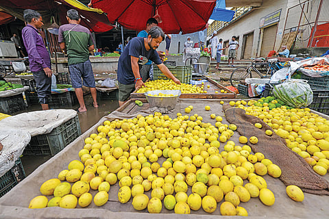 गाजीपुर सब्जी मंे रंजीत नीबू की दुकान लगाते हैं। उनके दागी नीबू अचार वाले सस्ते में ले जाते हैं
