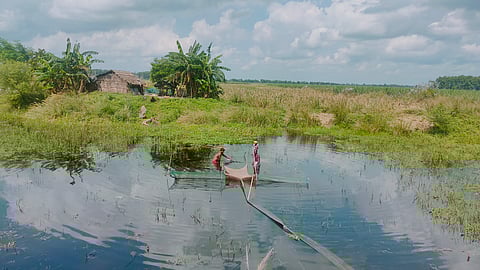 1984 में लगभग 6,786 हेक्टेयर में फैली हुई कावर झील 2012 तक घटकर लगभग  2,032 हेक्टेयर रह गई। फोटो: राहुल कुमार गौरव