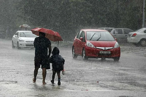 फाइल फोटो: सीएसई
