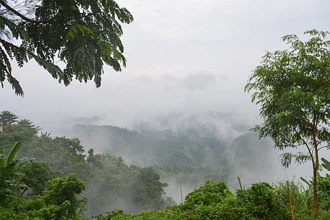 अगले तीन से चार दिनों के दौरान हिमाचल प्रदेश, पंजाब, हरियाणा, चंडीगढ़, दिल्ली, राजस्थान, पश्चिमी उत्तर प्रदेश के कुछ हिस्सों में हल्की से मध्यम होने का अनुमान लगाया गया।
