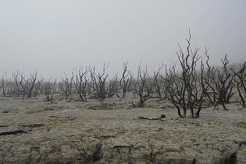 वर्तमान में दुनिया की 40 प्रतिशत भूमि खराब हो चुकी है, जिसका सीधा असर 3.2 अरब लोगों पर पड़ रहा है। 2050 तक दुनिया की आबादी का तीन-चौथाई हिस्सा सूखे से प्रभावित हो सकता है।