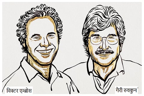 2024 नोबेल पुरस्कार विजेता: चिकित्सा के क्षेत्र में नोबेल पुरस्कार विजेता विक्टर एम्ब्रोस और गैरी रुवकुन