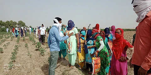 राजस्थान के गोलूवाला गांव के लिए मनरेगा योजना रोजगार का एक बड़ा साधन बन गई है। फोटो: अमरपाल वर्मा