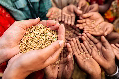 खाद्य सुरक्षा हासिल करने का अर्थ है भूख के मूल कारणों, जैसे गरीबी, असमानता और अपर्याप्त कृषि प्रणालियों से निपटना।