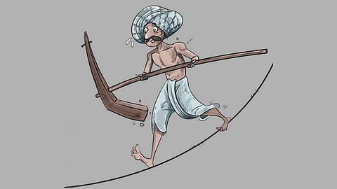 महंगाई से किसानों को नहीं मिलता फायदा, कहां रह जाती है कमी