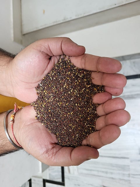 स्टोरी के लिए प्रतीकात्मक फोटो। फोटो: अमरपाल सिंह वर्मा