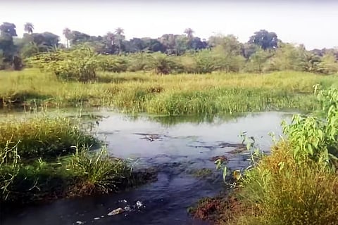 राजस्थान के औद्योगिक क्षेत्र के साथ बहती कोठारी नदी; फोटो: नंदकिशोर जांगिड़/यूट्यूब