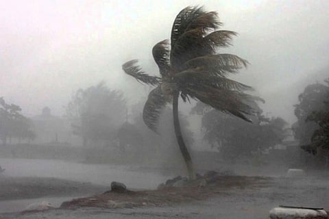 तूफानी गतिविधि के कारण आज तमिलनाडु और पुडुचेरी के कुछ इलाकों में तूफानी हवाओं के साथ भारी से बहुत भारी बारिश और कुछ हिस्सों में भयंकर बारिश होने की आशंका जताई गई है।