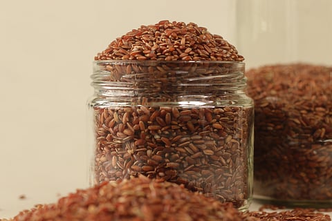 नावरा चावल केरल की सांस्कृतिक धरोहर में गहरे रूप से निहित एक साझा आनुवंशिक संसाधन है। फोटो: आईस्टॉक