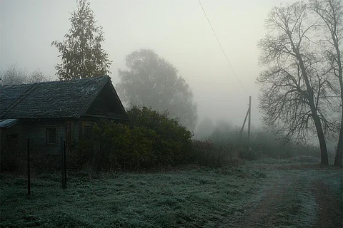 आज उत्तर प्रदेश के 40 से अधिक जिलों में घना कोहरा छाए रहने के आसार हैं। आने वाले दिनों में अधिकतम तापमान में दो से चार डिग्री सेल्सियस की गिरावट आने के आसार हैं।