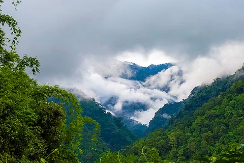 पश्चिमी हिमालयी इलाकों में हल्की से भारी बारिश व बर्फबारी होने का भी पूर्वानुमान है।