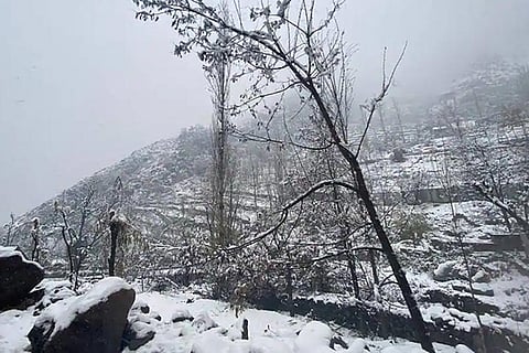 16 और 17 जनवरी को हिमाचल प्रदेश के निचले इलाकों में बारिश तथा ऊंचाई वाले हिस्सों में हिमपात होने का पूर्वानुमान है।
