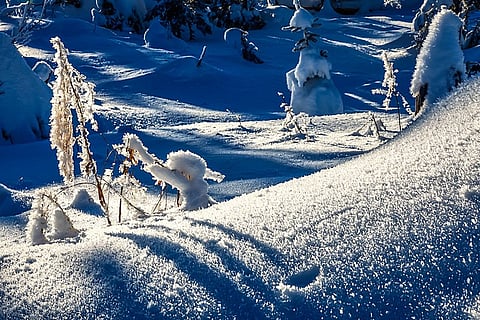 आज, पश्चिमी हिमालयी इलाकों के कुछ हिस्सों में बारिश व बर्फबारी होने के आसार हैं। हिमाचल में ठिठुरन बढ़ गई है, वहीं आज और कल यहां लोगों को शीत लहर का कहर झेलना पड़ सकता है।