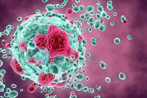 शोध से पता चला है कि स्टेम-लाइक टी कोशिकाओं की सहनशक्ति को आईडी3 नामक प्रोटीन द्वारा बढ़ावा मिलता है