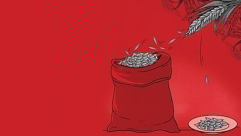 बंपर पैदावार पर सवाल: कहां चला जाता है हर साल 10 करोड़ टन अनाज?