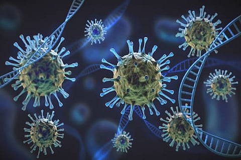 डब्ल्यूएचओ के अफ्रीका कार्यालय के अनुसार, बोलोको शहर में पहला प्रकोप तब शुरू हुआ जब तीन बच्चों ने चमगादड़ खाया और रक्तस्रावी बुखार के लक्षणों के बाद 48 घंटों के भीतर उनकी मृत्यु हो गई।