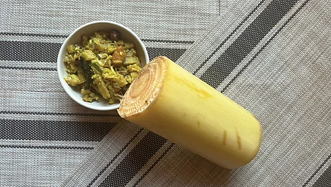 फोटो: विभा वार्ष्णेय / सीएसई