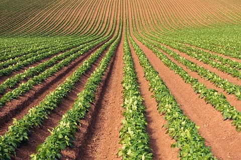 संसद में आज: प्राकृतिक खेती को बढ़ावा देने के लिए राज्यों को 177.78 लाख रुपये जारी