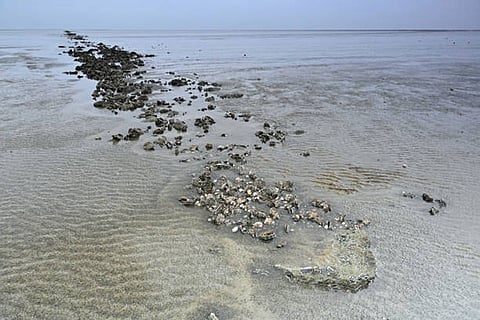 उत्तर में बंगाल की खाड़ी के पश्चिमी महाद्वीप के हिस्से में जहां मछलियां नहीं हैं, वहां ऑक्सीजन की कमी या हाइपोक्सिक क्षेत्र के रूप में पहचाना गया है, जिसे मृत क्षेत्र कहा जाता है।