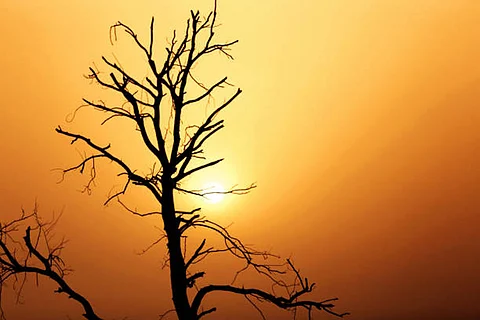 अध्ययन में पाया गया कि कम से मध्यम उत्सर्जन परिदृश्यों के तहत तापमान पहले की अपेक्षा कहीं अधिक बढ़ सकता है।