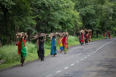 भारत की वन भूमि के उपयोग में परिवर्तन का सिलसिला जारी है। फोटो: विकास चौधरी/सीएसई