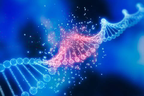 वैज्ञानिकों ने एक ऐसी विधि का उपयोग करके पाया कि एचआईवी सो रहा है या जाग रहा है, यह सटीक रूप से माप सकता है।