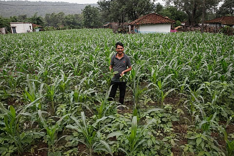 दुनियाभर में 44 प्रतिशत कार्यरत युवा एग्रीफूड सिस्टम्स में काम करते हैं। फोटो: राजू सजवान