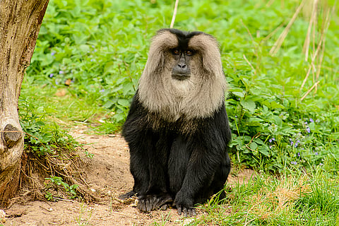 फोटो : आईस्टॉक