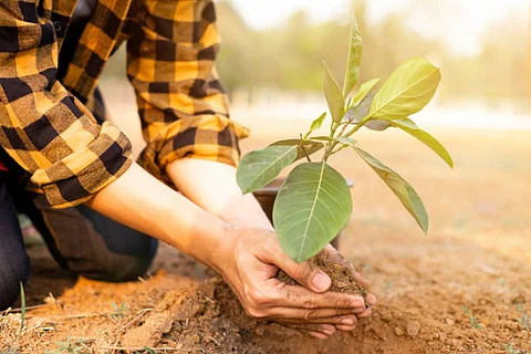 हरेले के त्यौहार में न केवल सांस्कृतिक विरासत का जश्न मनाया जाता है बल्कि यह उत्तराखंड में टिकाऊ कृषि पद्धतियों को भी सामने लाता है।