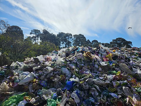 पहाड़ो पर खाली सैशे यानी पाउच एक बड़ी समस्या बन गया है। फोटो लेखक द्वारा उपलब्ध कराई गई है