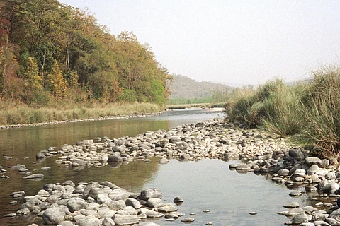 फोटो: विकिपीडिया