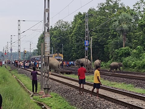 फोटो लेखक द्वारा उपलब्ध कराया गया है