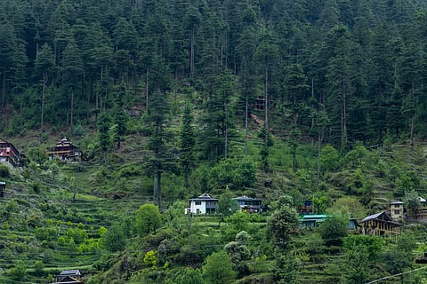 प्रतीकात्मक तस्वीर। आईस्टॉक
