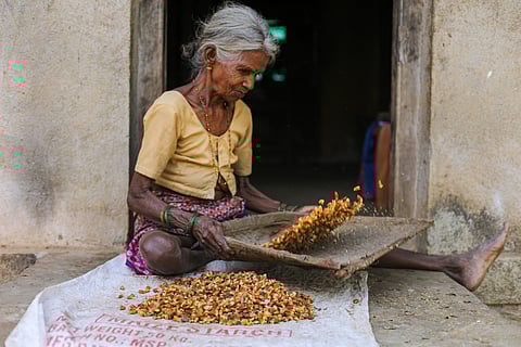 फोटो : विकास चौधरी