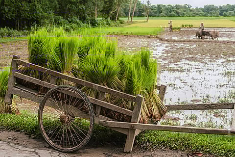 यह खोज केवल अतीत की कहानी नहीं है, बल्कि भविष्य के लिए चेतावनी भी है। ; प्रतीकात्मक तस्वीर: आईस्टॉक