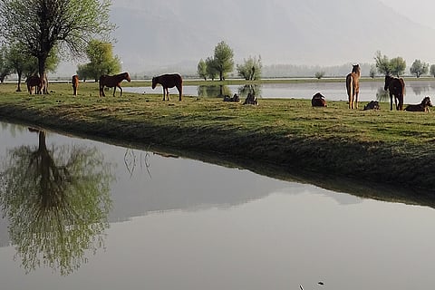 वूलर झील; फोटो: आईस्टॉक