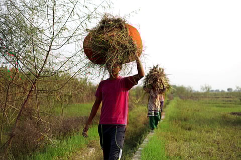 फोटो: आईस्टॉक