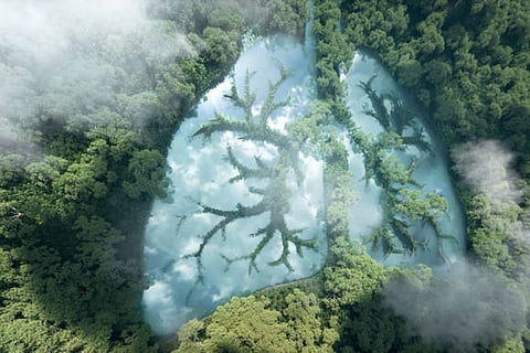 प्रदूषण घटाने, हरित ऊर्जा अपनाने और पेड़-पौधे लगाने में समुदाय और हर व्यक्ति की सक्रिय भागीदारी जरूरी है।