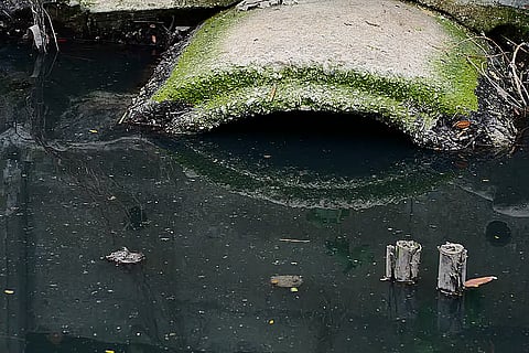 प्रतीकात्मक तस्वीर: आईस्टॉक