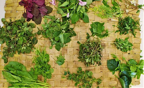 इस दिन हर बंगाली घर में चौदह दीप जलते हैं और चौदह प्रकार के साग (शाक) पकाए जाते हैं।