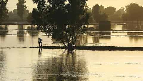 डाउन टू अर्थ विशेष: पंजाब के किसानों के लिए कितना मुश्किल है बाढ़ से उबरना